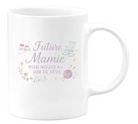 quotedazur - Mug Future Mamie : Mon nouveau job de rêve - Tasse Cadeau Annonce Grossesse Naissance Mamie Femme - Blanc/Céramique