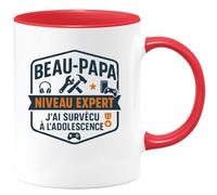 quotedazur - Mug Humour Beau-Papa niveau expert : j'ai survécu à l'adolescence - Cadeau Beau-Papa Homme