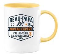 quotedazur - Mug Humour Beau-Papa niveau expert : j'ai survécu à l'adolescence - Cadeau Beau-Papa Homme