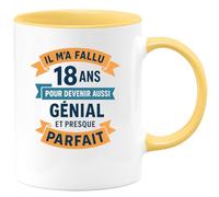 quotedazur - Mug Humour Il M’A Fallu 18 Ans Pour Devenir Génial Et Presque Parfait Idée Cadeau Originale Tasse Anniversaire