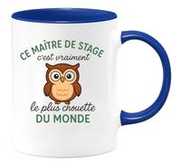 quotedazur - Mug Humour Personnalisé Ce Maitre De Stage C'est Vraiment Le Plus Chouette Du Monde - Bleu/Céramique
