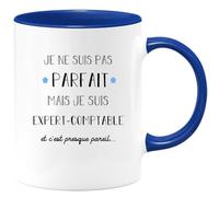 Quotedazur - Mug Je Ne Suis Pas Parfait Mais Je Suis Expert Comptable - Humour Métier Travail - Idée Cadeau Pot De Départ Chef Mutation - Tasse Retraite Noël Au Bureau