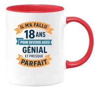 quotedazur - Mug Personnalisé Humour Il M’A Fallu 18 Ans 2007 Pour Devenir Génial Et Presque Parfait Idée Cadeau Originale Tasse Anniversaire - Rouge/Céramique