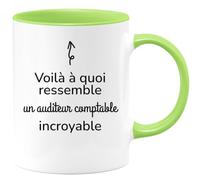 quotedazur - Mug Voilà à Quoi Ressemble Un Auditeur Comptable Incroyable - Vert/Céramique