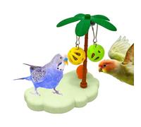 Qurygin Perchoirs en forme de pour perruches | Perchoir pour conure, inséparable, ara, canari, observation du bec, broyage, recherche de nourriture