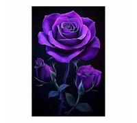 QUSAAOU Moderne Impression Sur Bouquet de roses violettes dramatique sur fond noir DéCorations Suspendues Convenant Aux Chambres Cuisines EntréEs CaféS Et Appartements.(Violet)-20x30cm1 Sans cadre