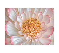 QUSAAOU Nature Paysage Impression Sur Toile Dahlia blanc rose contours dorés plan rapproché LdéAl Pour Le Salon Couloir D'Un Studio Une Exposition D'Art Ou Cadeau D'Anniversaire -40x60cm Sans cadre
