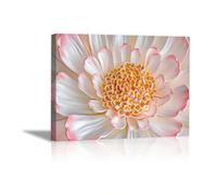 QUSAAOU Nature Paysage Impression Sur Toile Dahlia blanc rose contours dorés plan rapproché LdéAl Pour Le Salon Couloir D'Un Studio Une Exposition D'Art Ou Cadeau D'Anniversaire -50x70cm Encadrée