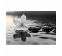 QUSAAOU Nature Paysage Impression Sur Toile Fleur blanche pierre noire eau reflet zen Pour DéCorer Chambres Cuisines Salles De Bains EntréEs CaféS Et Appartements(Blanc)-60x90cm1 Sans cadre