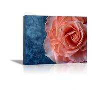 QUSAAOU Nature Paysage Impression Sur Toile Rose corail demi-forme texture bleu profond Pour DéCorer Chambres Cuisines Salles De Bains EntréEs CaféS Et Appartements(rose corail)-80x120cm Sans cadre