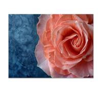 QUSAAOU Nature Paysage Impression Sur Toile Rose corail demi-forme texture bleu profond Pour DéCorer Chambres Cuisines Salles De Bains EntréEs CaféS Et Appartements(rose corail)-40x60cm Sans cadre