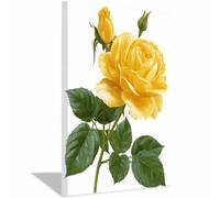 QUSAAOU Nature Paysage Impression Sur Toile Rose jaune avec boutons et feuilles Pour DéCorer Chambres Cuisines Salles De Bains EntréEs CaféS Et Appartements(Jaune)-20x30cm Encadrée