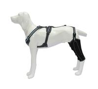 Qusinfc Attelle de protection pour animaux de compagnie pour chiens âgés souffrant de problèmes articulaires et de faiblesse, moins d'inconfort, soulage les jambes du chien