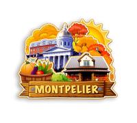 Quwsne Aimant de réfrigérateur Montpelier Vermont États-Unis - Souvenirs de voyage en ville - Cadeaux touristiques 3D - Monuments classiques - Artisanat fait à la main - Décoration d'intérieur - 884