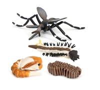 QUXVUIS 1 Ensemble modèle de Moustique Insectes réalistes Jouets éducatifs intéressants Jouets moustiques Jouet Cycle de Vie Jouet pour l'école