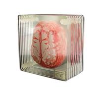 QUXVUIS 10 pièces sous-Verres Acrylique organe Cerveau spécimen Table caboteur Facile à Nettoyer Lisse Tasse Tapis Famille Bar Vivant Cadeau Tasses