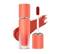 QUXVUIS 2.5g mat à lèvres étanche brillant à lèvres cosmétiques rouges rouges maquillage fournitures de beauté femmes filles petite amie, Type 6
