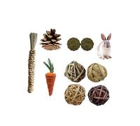 QUXVUIS Ensemble de Jouets à mâcher pour Animaux - Jouets Uniques pour Animaux de Compagnie Ensemble à mâcher en Bois Durable et élégant Lapin Guinée Faible Entretien, 9 pièces