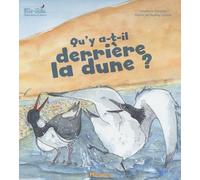 Qu'y a-t-il derrière la dune ?