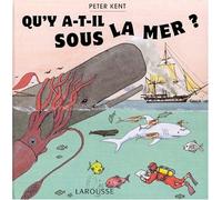 Qu'Y A-T-Il Sous La Mer ?