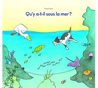 Qu'y a-t-il sous la mer?