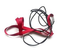 Quystetes 1 Pièce Perroquet Oiseau Harnais Laisse Sangle de Traction Volante Extérieure Kit de Corde D'Entraînement Volant pour Oiseau Perroquet Rouge S