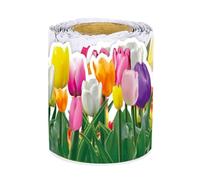 Quystetes 1 rouleau de bordure florale de tulipe de 20 m pour école, salle de classe, tableau noir, décoration de tableau noir