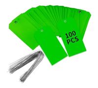 Quystetes Lot de 100 étiquettes d'expédition vierges en plastique avec fils - Imperméables - Faciles à utiliser - 11 x 6 cm