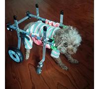 QWAXTRIW 4 roues en fauteuil roulant pour chiens de chien, chariot de réadaptation pour animaux de compagnie pour les pattes arrière/avant, outils de support de roulement de roues (taille XS)