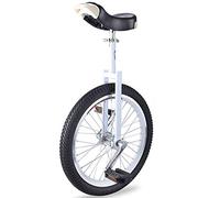 QWdfgS monocycle, Monocycle 20/18/16 Pouces, siège réglable, pneus antidérapants, avec Support de Rangement Robuste, équilibre, Exercice Cyclisme, Fitness for Adulte(White,18inch)