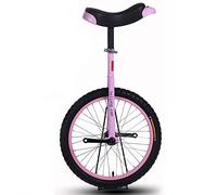 QWdfgS monocycle, Monocycle à Roues de 16 Pouces for Enfants avec Jante en Alliage, Pneu très épais et Support Rangement Robuste, équilibre, Exercice Cyclisme, Fitness for Adultes(Purple)