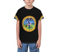 QWEFVB T-shirt à manches courtes pour adolescents Motif drapeau de la ville, Emblème national de l'Iowa 9, 3-4 ans