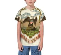 QWEFVB T-shirt à manches courtes pour adolescents Motif drapeau de l'Illinois, Emblème national de l'Illinois 2, 9-10 ans