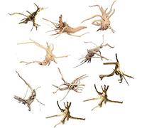 Qwertfeet Mini bois flottant pour aquarium, branches en bois naturel, décorations pour aquarium, reptiles d'arbre, driftwood assortis (10 pièces)