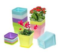 QWORK® 24 Pièces Pots de Plantes carrés en Plastique coloré avec Plateaux, Pots de démarrage de semis de 7 cm pour Plantes succulentes, Cactus, Herbes et légumes