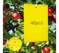 QWORK® 40 Pièces plaques pièges à Insectes, Collants Jaunes Contre moucherons, pour mineurs de Feuilles, pucerons, Mites, Fourmis, Autres Insectes