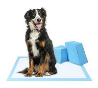QWORK® 60 Pièces Tapis Chien Jetable, 75 x 85 cm Tapis de Dressage pour Animaux de Compagnie, Tapis Pipi Chien Très Absorbants, pour Chiens de Petite et Moyenne Taille