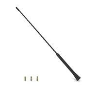 QWORK® Antenne Voiture, antenne Radio Voiture de Toit AM/FM/Dab, pour Une réception AM/FM optimale, avec vis M4 M5 M6, 40 cm