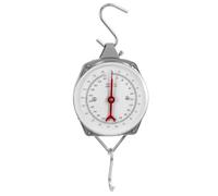 QWORK® Balance suspendue, balance de valise avec crochet, gris, 200 kg