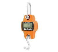 QWORK® balance suspendue numérique, 300kg, balance à grue numérique à crochet en aluminium, pour pesage au quai, matières premières en acier, pêche