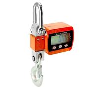 QWORK® balance suspendue numérique, 500kg, balance à grue numérique à crochet en aluminium, pour pesage au quai, matières premières en acier, pêche