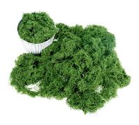 QWORK® Mousse Artificielle 150g Verde Vibrante - Décoration Végétale Ultra-Réaliste pour Terrariums, DIY & Noël - Mousse Synthétique Douce pour Modélisme, Jardin Miniature et Composition Florale