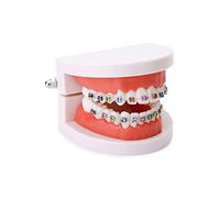 QWORK Typodonts - Modèle de démonstration orthodontique - Modèle de recherche dentaire avec fils métalliques et supports en céramique - Modèle d'explication pour adultes