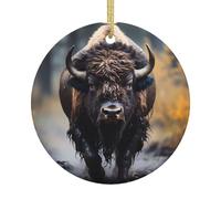 QWVBN Bison d'Amérique du Nord - Décoration de Noël ronde en céramique à suspendre, décoration festive, convient comme cadeau pour vos amis, sœurs, etc.
