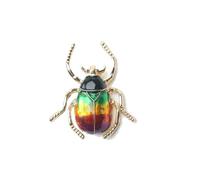 QXDZSW Jolie broche insecte créative sept étoiles coccinelle scarabée broche chemise manteau manteau broche dessin animé, Métal