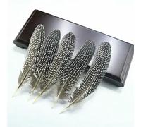 QXWD Lot de 10 plumes de pintade naturelles pour fabrication de bijoux, plumes de faisan tachetées, décoration de mariage, accessoires d'artisanat