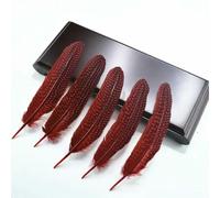 QXWD Lot de 10 plumes de pintade naturelles pour fabrication de bijoux, plumes de faisan tachetées, décoration de mariage, accessoires d'artisanat