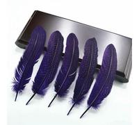 QXWD Lot de 10 plumes de pintade naturelles pour fabrication de bijoux, plumes de faisan tachetées, décoration de mariage, accessoires d'artisanat