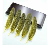 QXWD Lot de 10 plumes de pintade naturelles pour fabrication de bijoux, plumes de faisan tachetées, décoration de mariage, accessoires d'artisanat