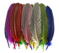QXWD Lot de 10 plumes de pintade naturelles pour fabrication de bijoux, plumes de faisan tachetées, décoration de mariage, accessoires d'artisanat